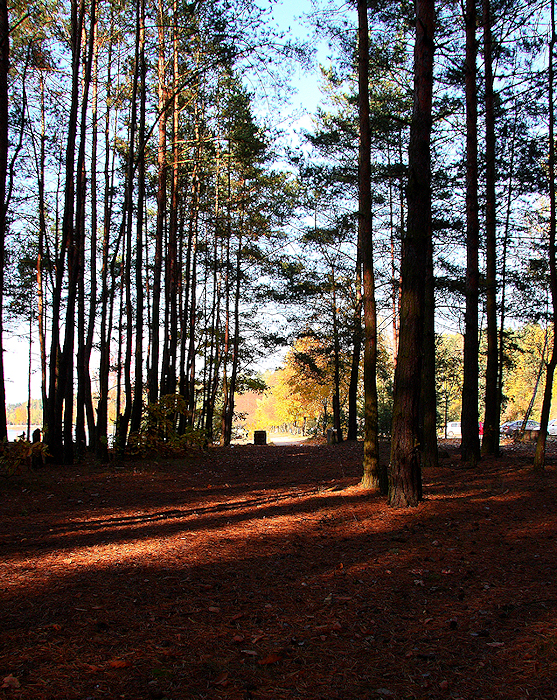 Wczytywanie Obrazu...