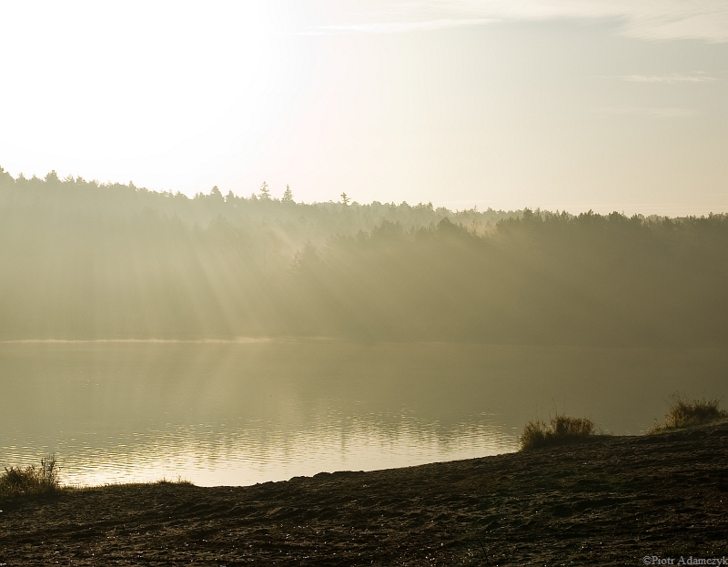 Wczytywanie Obrazu...