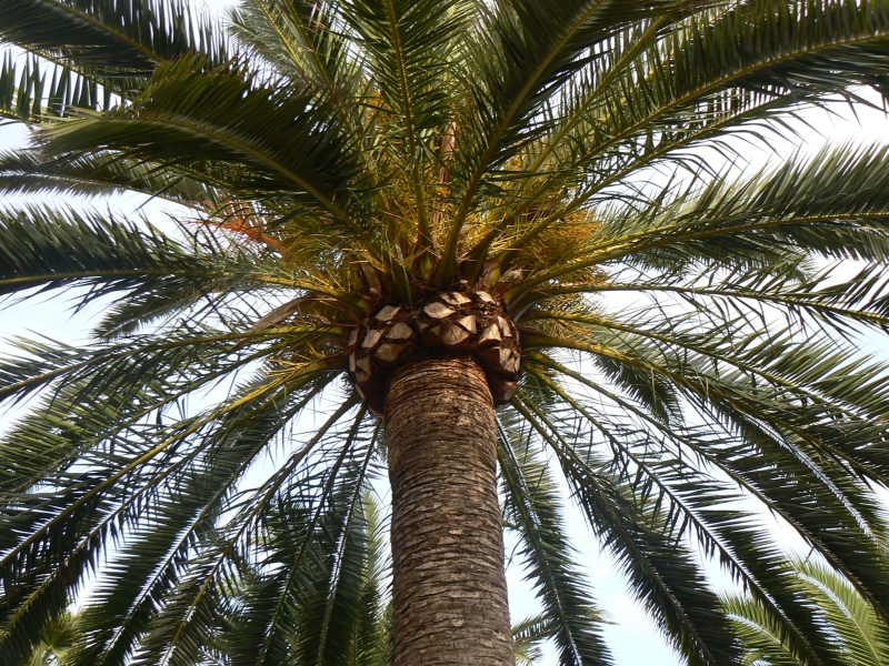 Wczytywanie Obrazu...