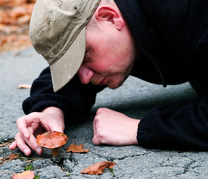 Wczytywanie Obrazu...