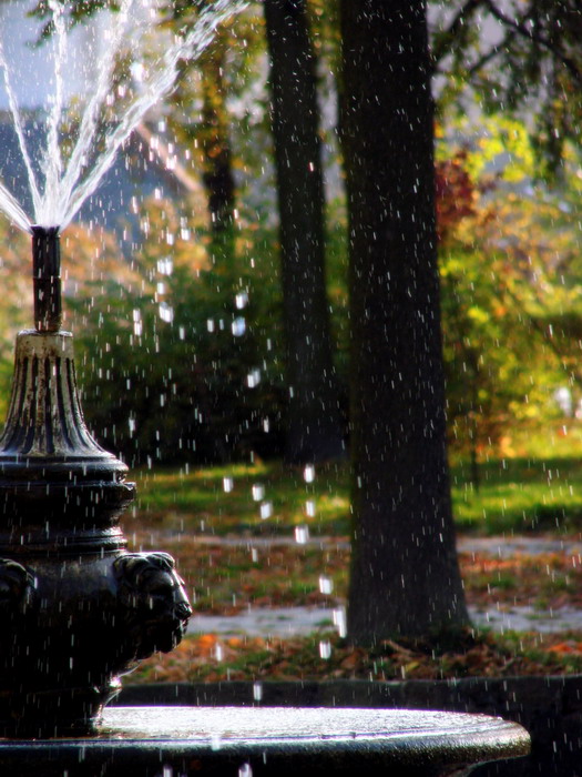 Wczytywanie Obrazu...