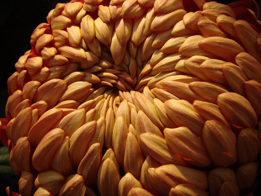 Wczytywanie Obrazu...