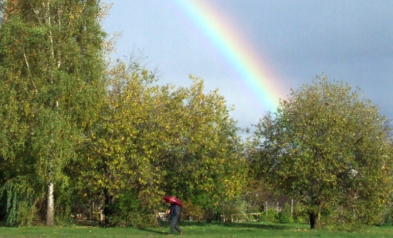 Wczytywanie Obrazu...