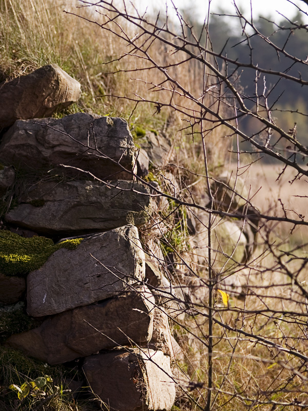 Wczytywanie Obrazu...