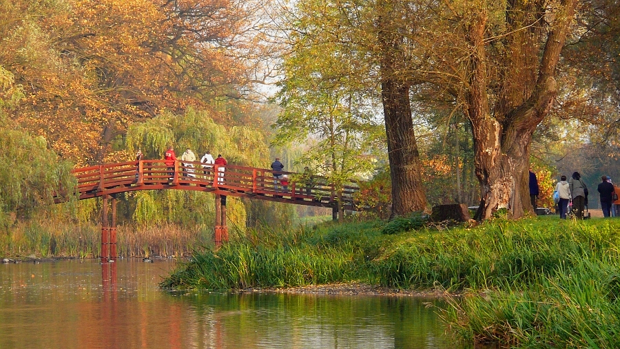 Wczytywanie Obrazu...