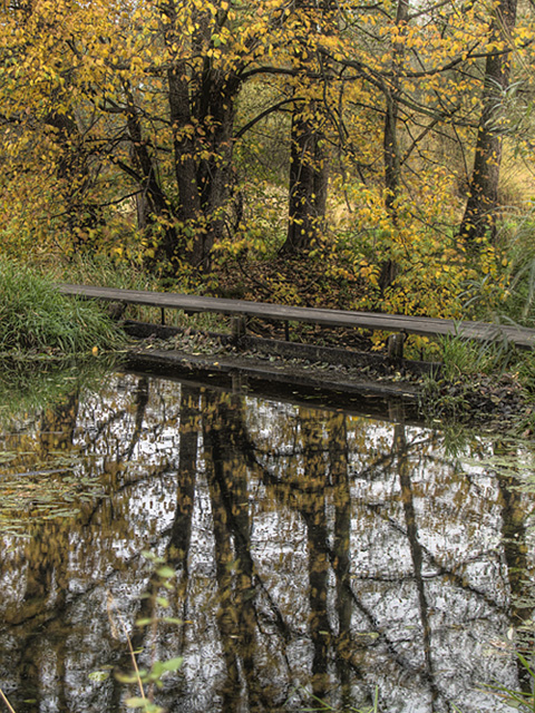 Wczytywanie Obrazu...