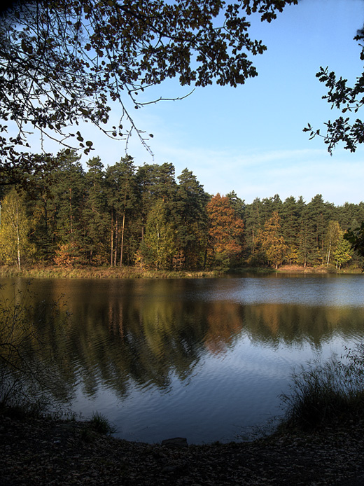 Wczytywanie Obrazu...