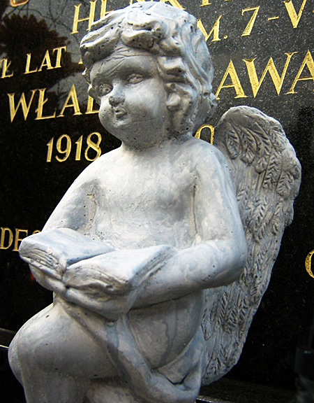 Wczytywanie Obrazu...