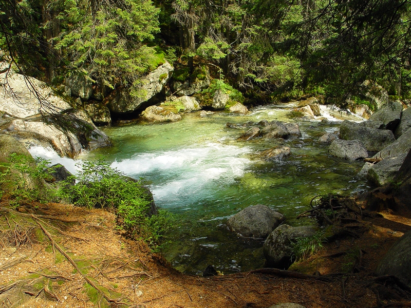 Wczytywanie Obrazu...