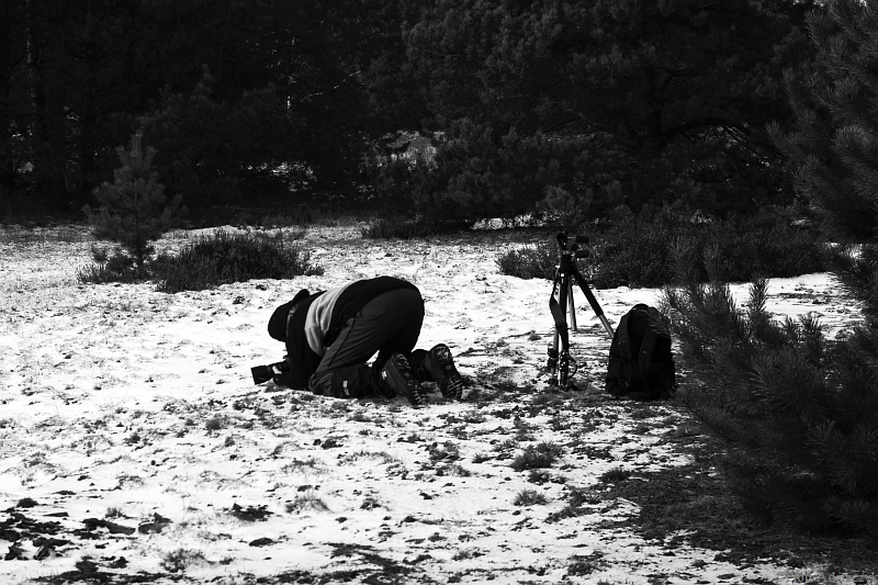 Wczytywanie Obrazu...