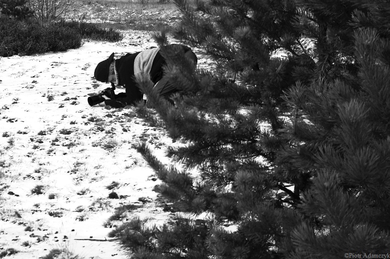 Wczytywanie Obrazu...