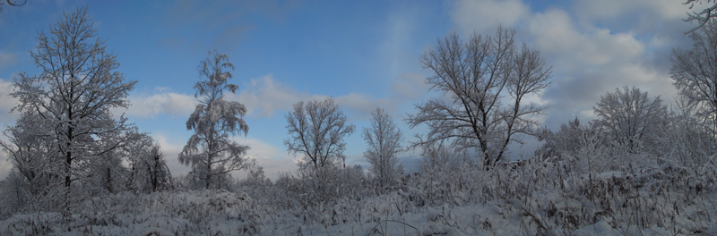 Wczytywanie Obrazu...