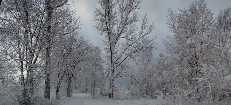 Wczytywanie Obrazu...