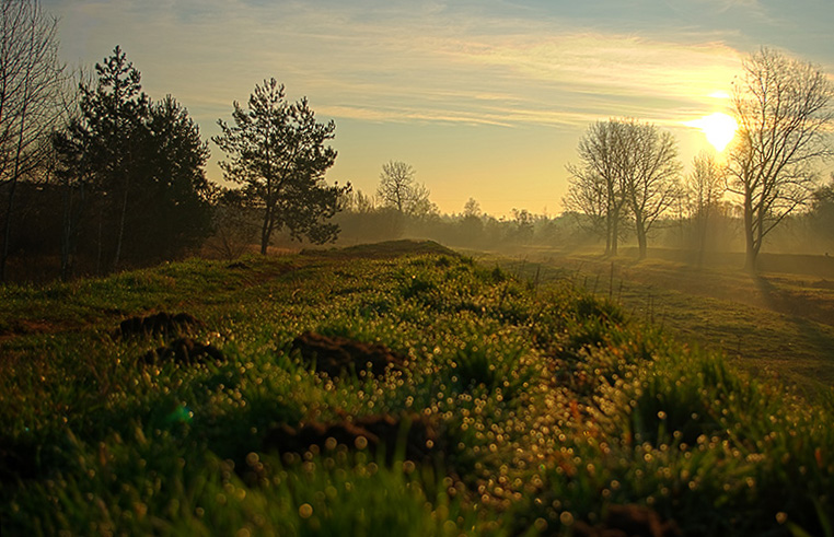 Wczytywanie Obrazu...