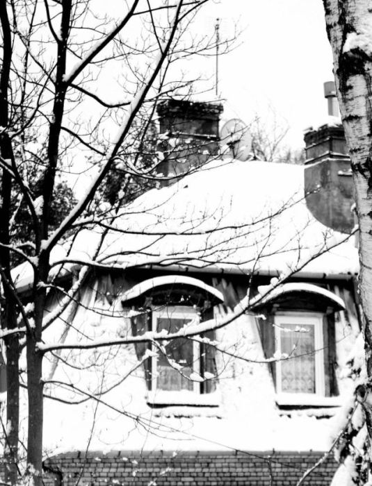 Wczytywanie Obrazu...