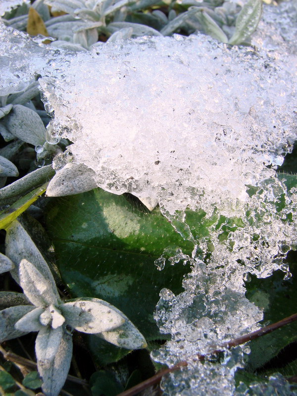 Wczytywanie Obrazu...