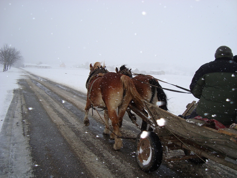 Wczytywanie Obrazu...