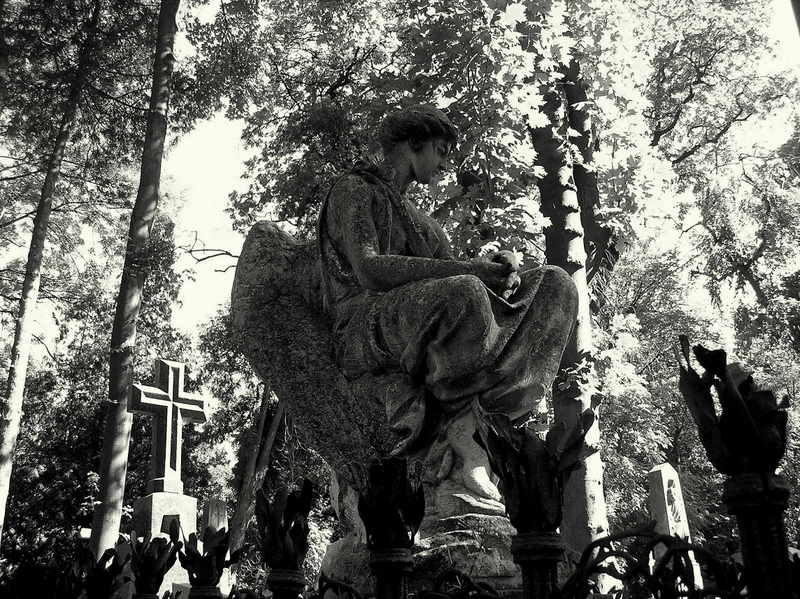 Wczytywanie Obrazu...