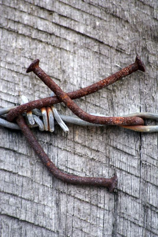 Wczytywanie Obrazu...