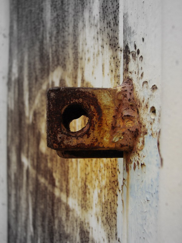 Wczytywanie Obrazu...