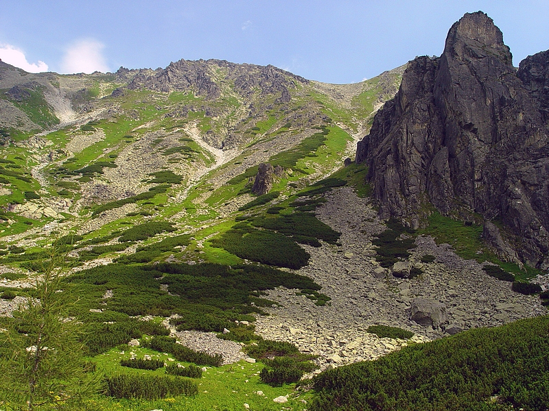 Wczytywanie Obrazu...