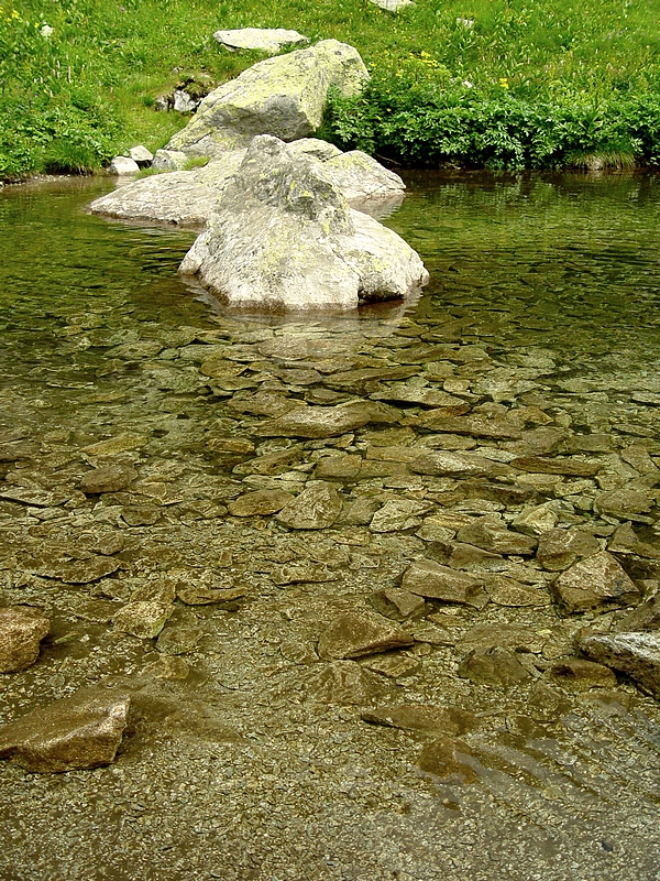 Wczytywanie Obrazu...