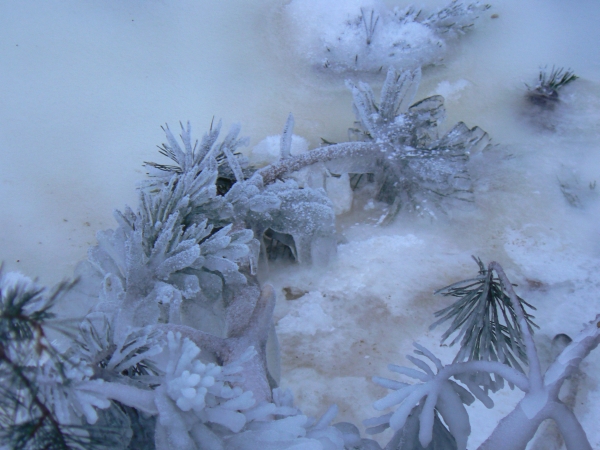 Wczytywanie Obrazu...