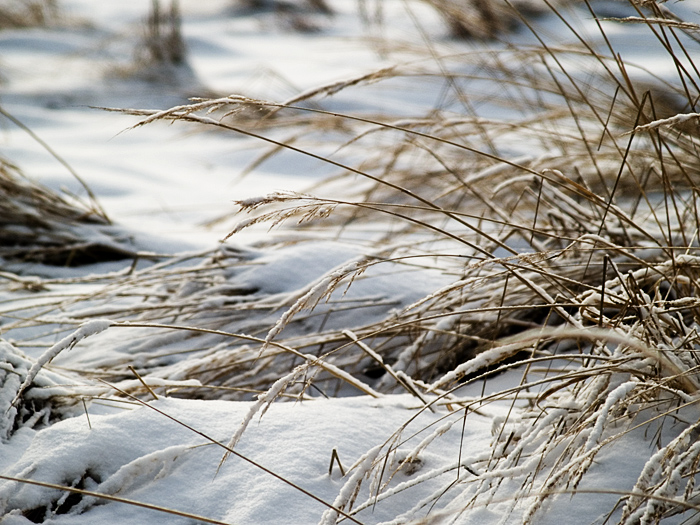 Wczytywanie Obrazu...