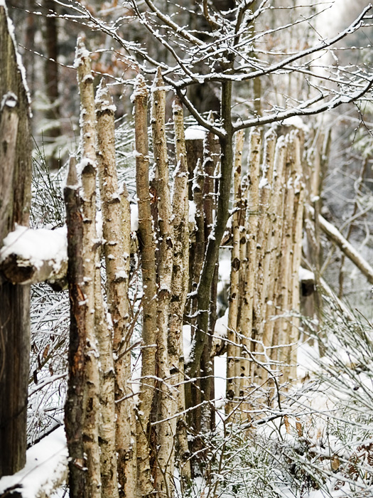 Wczytywanie Obrazu...