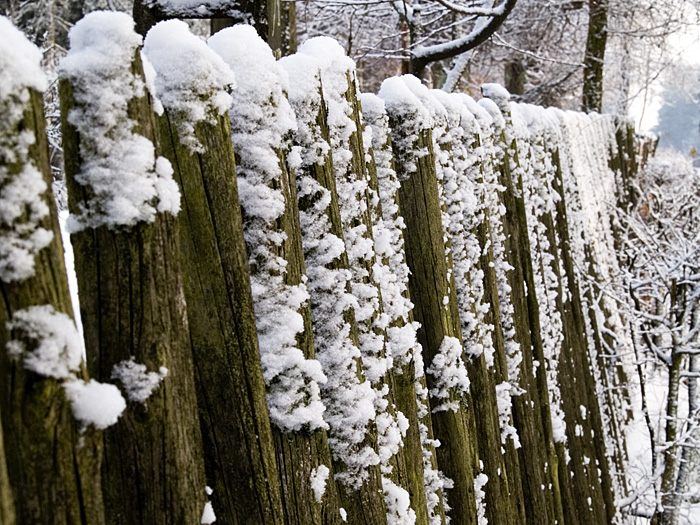 Wczytywanie Obrazu...