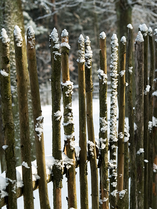 Wczytywanie Obrazu...