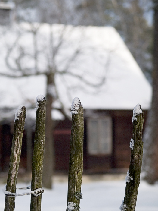 Wczytywanie Obrazu...