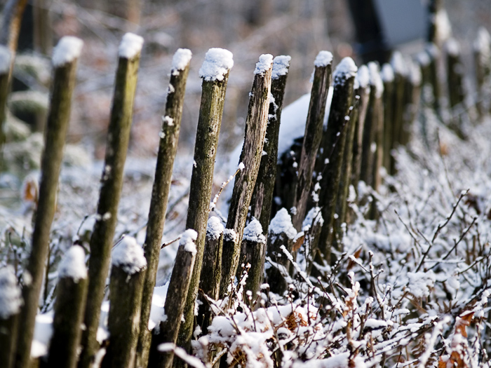 Wczytywanie Obrazu...