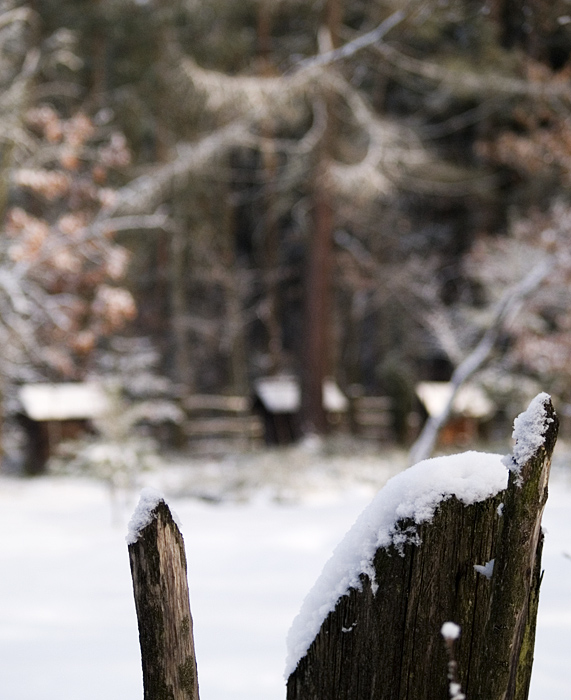 Wczytywanie Obrazu...