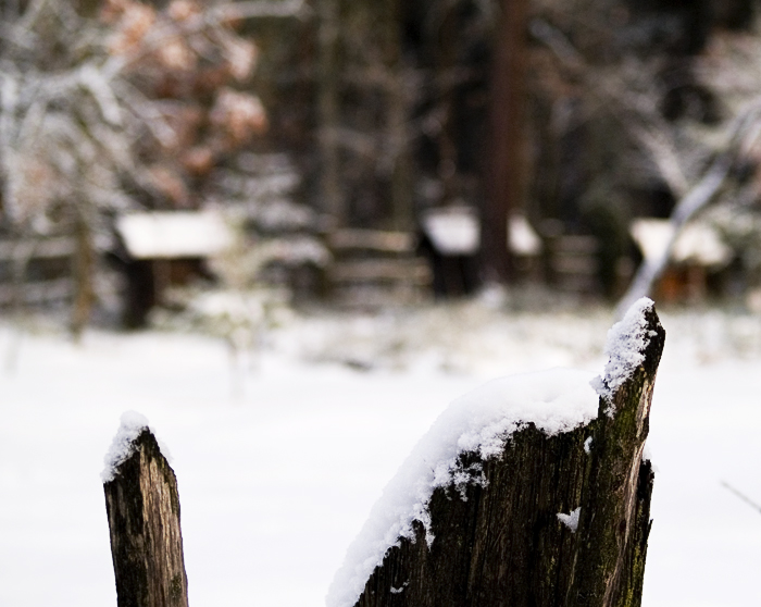 Wczytywanie Obrazu...