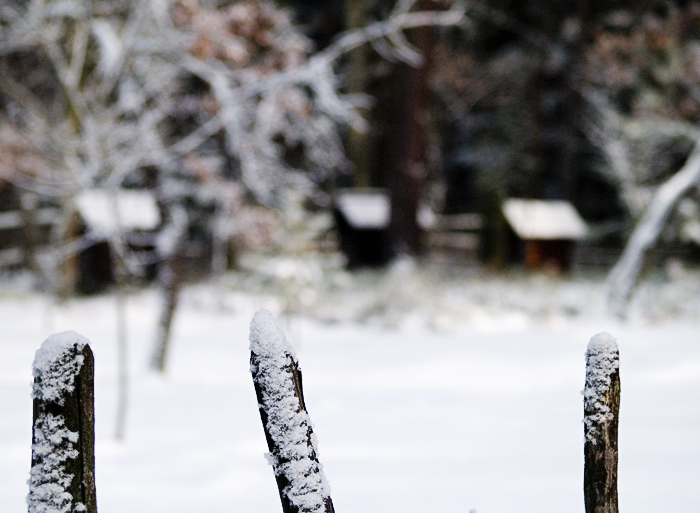 Wczytywanie Obrazu...