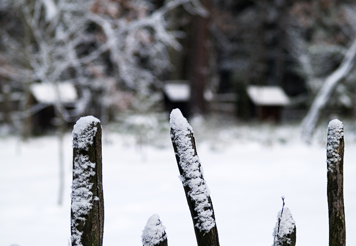 Wczytywanie Obrazu...