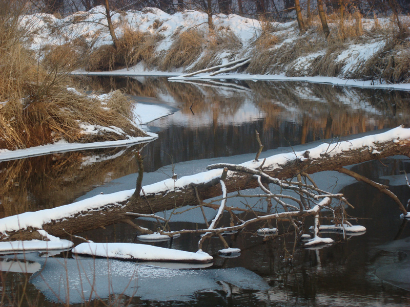 Wczytywanie Obrazu...