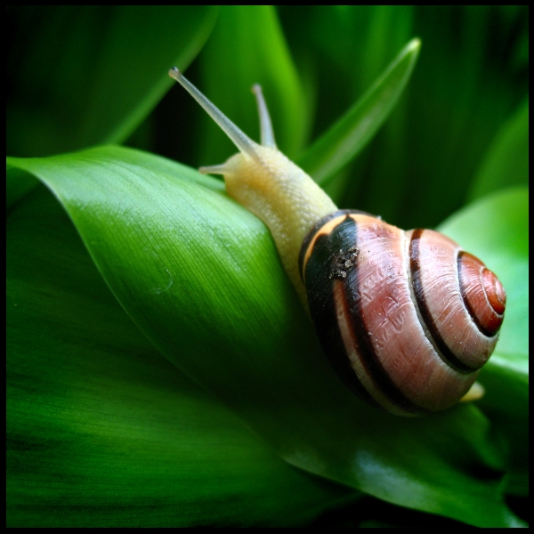 Wczytywanie Obrazu...