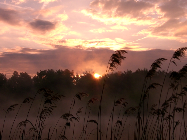 Wczytywanie Obrazu...