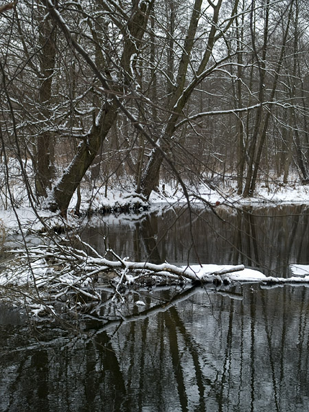 Wczytywanie Obrazu...