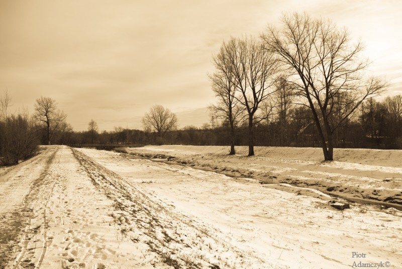 Wczytywanie Obrazu...