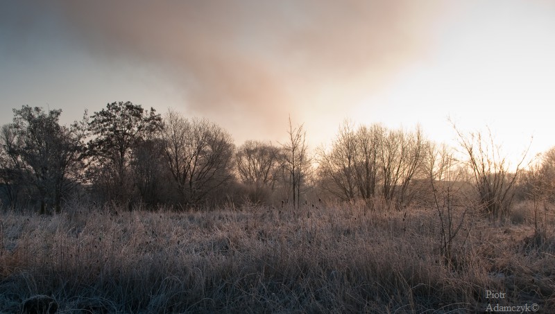 Wczytywanie Obrazu...