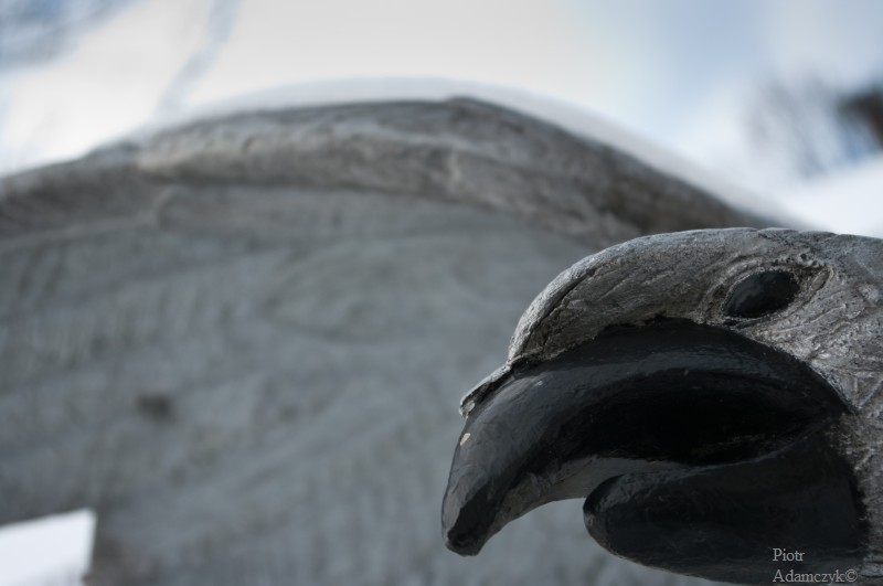 Wczytywanie Obrazu...