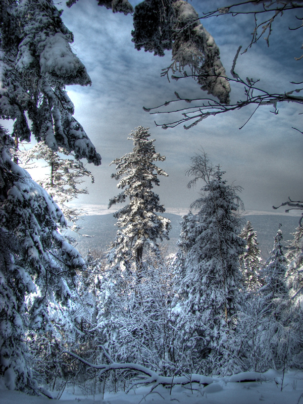 Wczytywanie Obrazu...