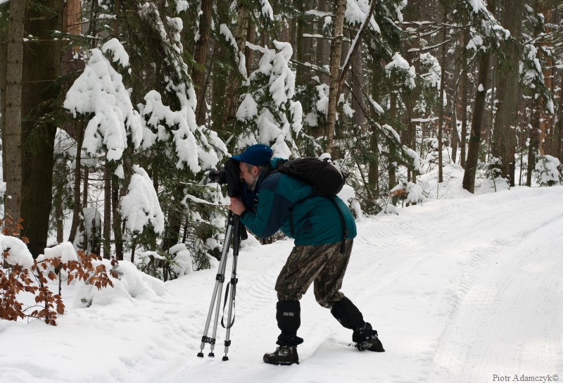 Wczytywanie Obrazu...