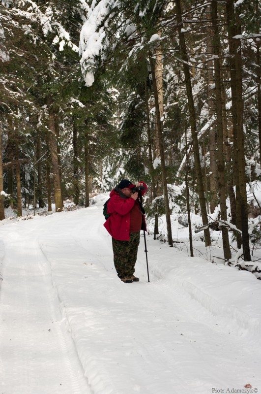 Wczytywanie Obrazu...