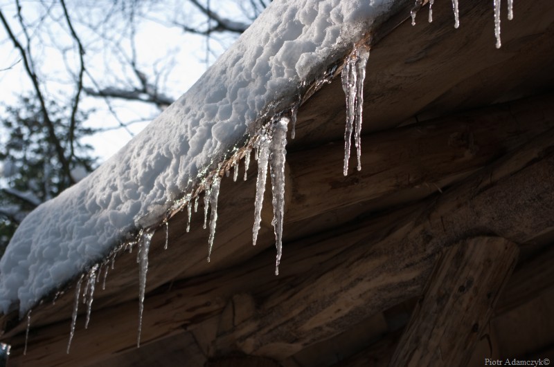 Wczytywanie Obrazu...