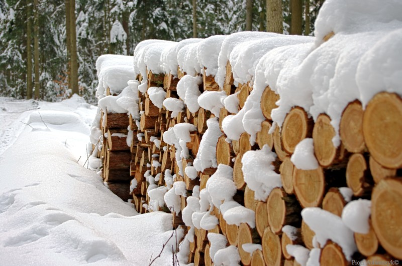 Wczytywanie Obrazu...