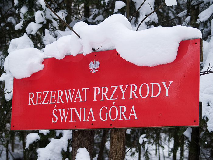 Wczytywanie Obrazu...